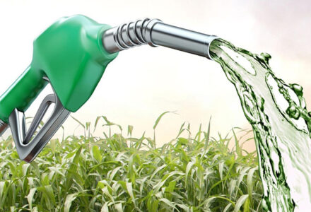 Conheça as vantagens do bicombustível Etanol