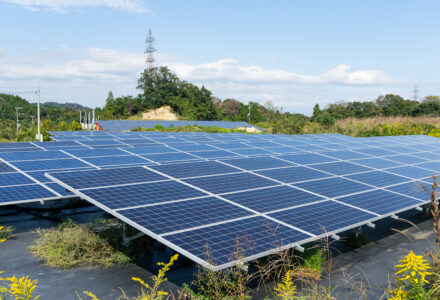 Empresa de energia solar: como escolher?